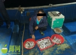 皮皮虾、海虾、魔鬼鱼......临高2男子非法捕捞水产品被刑拘 - 海南新闻中心