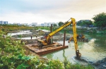 1月5日，在三亚河国家湿地公园，工程人员操作水陆两用挖掘机进行河道清淤、清障作业。 武威 摄 - 中新网海南频道