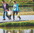 家长带孩子在海口美舍河凤翔湿地公园游玩。 本报记者 李天平 摄 - 中新网海南频道