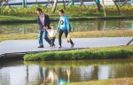 家长带孩子在海口美舍河凤翔湿地公园游玩。 本报记者 李天平 摄 - 中新网海南频道