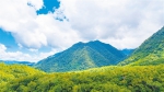 “海南热带雨林和黎族传统聚落”正式申报世界遗产项目 - 中新网海南频道