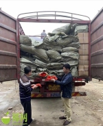 海口查获18吨、约1000多件一次性不可降解塑料袋 - 海南新闻中心