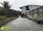 污水乱排 定安龙泽橡胶厂被罚款35万元 - 海南新闻中心