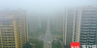 海南近期多地大雾 这些时段交通出行条件较差请注意 - 海南新闻中心