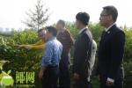 澄迈检察督促追缴红树林生态环境损害赔偿金181万余元 - 海南新闻中心