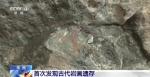 海南首次发现古代岩画遗存 造型神似大力神 - 海南新闻中心