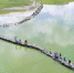 　资料图：古蛇桥成为游客游玩踏青的网红打卡地。图片来源：人民日报 - 海南新闻中心