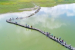 　资料图：古蛇桥成为游客游玩踏青的网红打卡地。图片来源：人民日报 - 海南新闻中心