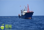 29人被抓，查获渔获物6000余斤！三亚破获4起非法捕捞水产品案 - 海南新闻中心