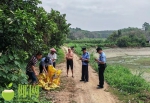 白沙一居民打扫鱼塘时惊现4条缅甸蟒，最大的有32斤重…… - 海南新闻中心