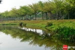 快来海口五源河国家湿地公园邂逅春天 - 中新网海南频道