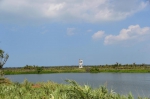海口迈雅河湿地公园水清岸绿生态美 - 海南新闻中心