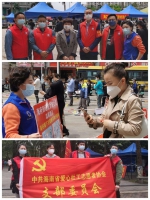 美兰志愿 “疫”不容辞 - 海南新闻中心