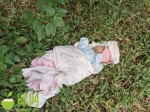 转扩！澄迈仙儒村附近山坡发现一名女婴，警方寻找知情者 - 海南新闻中心