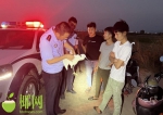 东方海岸警察联合林业部门救助一只受伤的国家二级保护动物白鹭 - 海南新闻中心