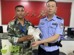 东方海岸警察联合林业部门救助一只受伤的国家二级保护动物白鹭 - 海南新闻中心
