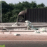 突发！海口绕城高速一货车撞上护栏，货物散落一地 - 海南新闻中心