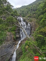 在海南热带雨林国家公园吊罗山片区感受别样喧嚣 - 中新网海南频道