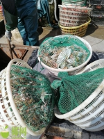 海南海警查获首艘违反伏季休渔期规定作业渔船 - 海南新闻中心