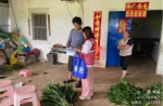 海口美兰区三江镇开展非法种植制毒原植物踏查铲除专项排查工作 - 海南新闻中心
