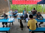 定安富文镇九所村长者食堂开办 走出一条农村互助抱团养老新模式 - 海南新闻中心