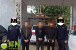集中收网！屯昌警方抓获犯罪嫌疑人125名 - 海南新闻中心