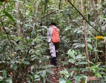 闻声识百鸟 探秘海南热带雨林的“土专家” - 中新网海南频道