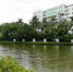 鸭尾溪的美丽“蜕变” - 海南新闻中心