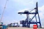 洋浦港今年完成吞吐量66万标箱 船舶注册规模达1000万载重吨 - 海南新闻中心