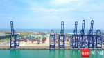 洋浦港今年完成吞吐量66万标箱 船舶注册规模达1000万载重吨 - 海南新闻中心