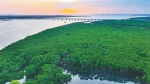 海南省湿地总面积达到181.77万亩 - 中新网海南频道