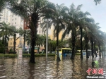 海口暴雨袭城 市民艰难涉水 - 中新网海南频道