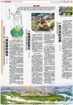 海南着力提升生态环境质量 打造生态环境“高颜值”名片 - 海南新闻中心