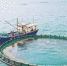 昌江：发展深海养殖助力渔业产业转型升级 - 中新网海南频道
