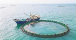 昌江：发展深海养殖助力渔业产业转型升级 - 中新网海南频道