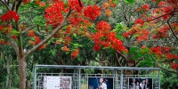 《传承之光——海南非物质文化遗产代表性传承人肖像展》揭幕 - 海南新闻中心