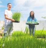 三亚崖州湾科技城：种业和海洋科技新高地 - 中新网海南频道