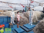 在马村港附近海域涉嫌非法捕捞 16艘渔船45人被查获 - 海南新闻中心