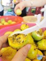 五指山毛道乡：发展特色水果产业 走上甜蜜满满的“致富路” - 海南新闻中心