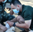 美兰区一路段突发车祸 武警官兵紧急救援伤者 - 海南新闻中心