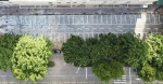 海口美兰区建成首个采用城市智慧停车平台自主运营的路外车场 - 海南新闻中心