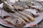 寻味万宁 | 超级鲜美的小海鱼汤 - 中新网海南频道