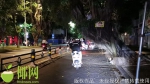 海口一老榕树倾斜挡路，多位市民“遭殃”，相关部门回应…… - 海南新闻中心