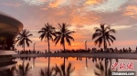 夕阳下的椰影倒映美景。　张月和 摄 - 中新网海南频道