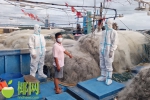 休渔期间，海南海警查获非法捕捞所得渔获物7.4万余公斤 - 海南新闻中心