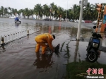 台风“奥鹿”携暴雨袭海口 多条道路积水 - 中新网海南频道