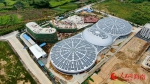 昌江这座南繁产业科技示范园 正在孕育海南西部农业升级的梦想 - 海南新闻中心