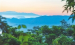 《海南热带雨林国家公园发展报告2019-2022》发布 - 中新网海南频道