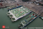 12月9日8时起，广东海安新港恢复客车、小车、散客过海业务 - 海南新闻中心