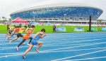 第六届海南省运会决出一批金牌 多项纪录被打破 - 中新网海南频道